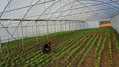 Kocaeli Büyükşehir Belediyesi, tarımsal üretimi artırmak ve kırsal kalkınmayı desteklemek