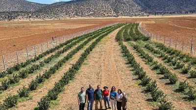 Antalya Büyükşehir Belediyesi’nin Korkuteli’nin Beğiş Mahallesi’nde hayata geçirdiği sulama suyu