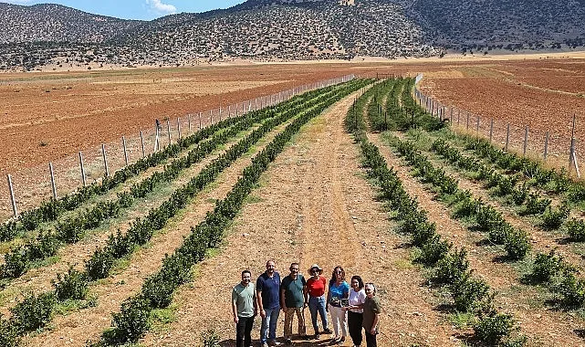 Antalya Büyükşehir Belediyesi’nin Korkuteli’nin Beğiş Mahallesi’nde hayata geçirdiği sulama suyu
