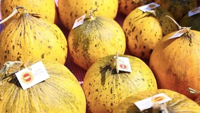 Çeşme Belediyesi ev sahipliğinde düzenlenen 10. Ovacık Tarım ve Sakız