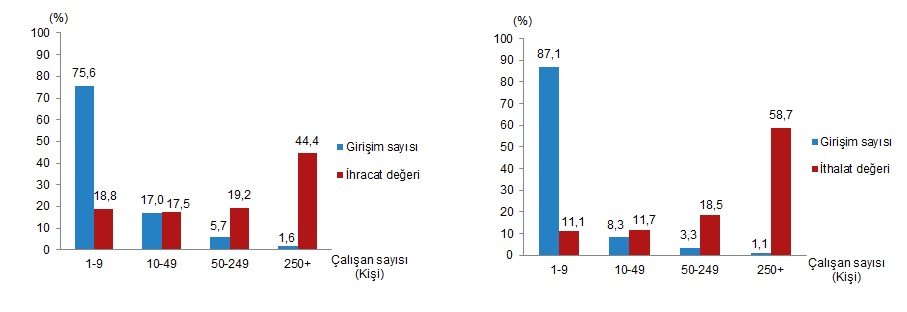 girisim-ozelliklerine-gore-dis-ticaret-istatistikleri-2024-engazete