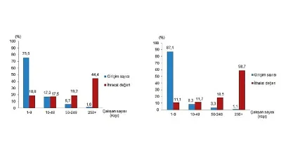 İhracatın %44,4'ünü, ithalatın ise %58,7'sini büyük ölçekli girişimler gerçekleştirdi