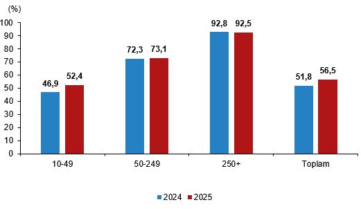 girisimlerde-bilisim-teknolojileri-kullanim-arastirmasi-2025