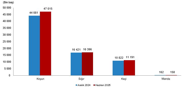 hayvancilik-istatistikleri-haziran-2025