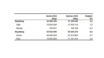 Bu haber bülteninde yer alan verilerin toplanması, işlenmesi ve yayına
