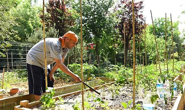 Kadıköylülerin sağlıklı gıdaya erişimini destekleyen Kadıköy Bostanları’nda kış dönemi için