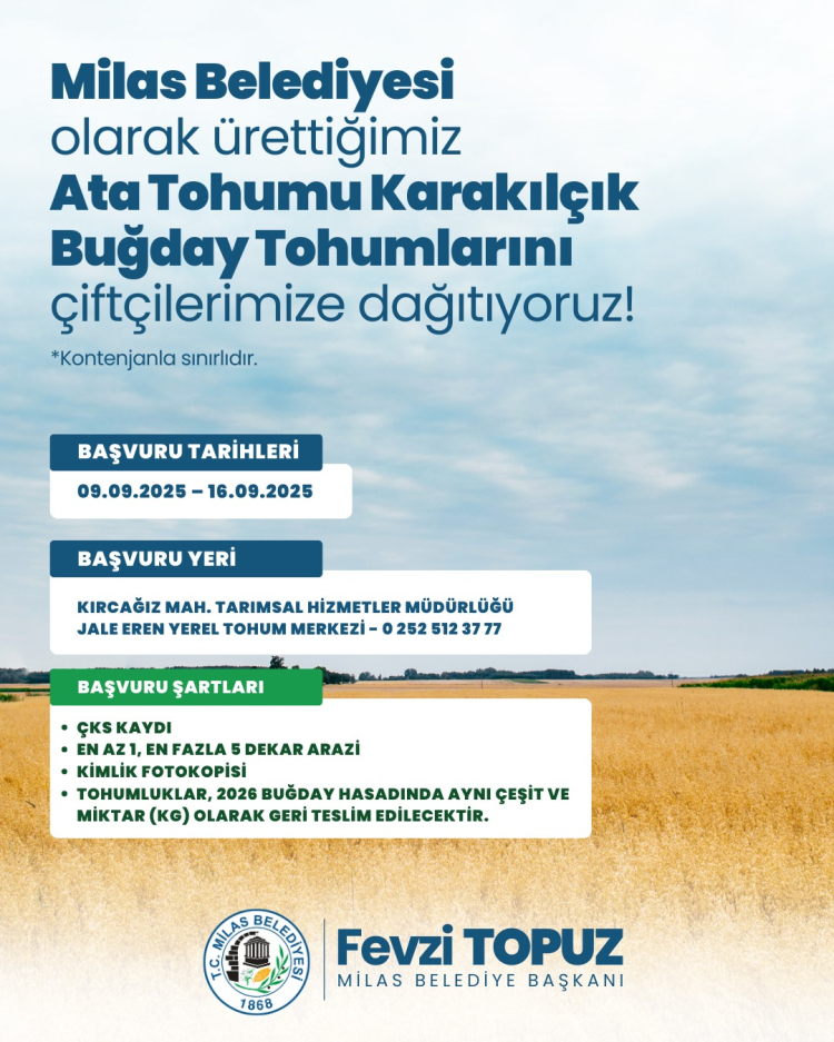 mugla-milasta-ureticilere-karakilcik-bugday-tohumu-dagitildi