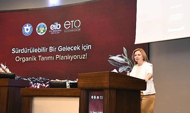 İzmir Ticaret Odası (İZTO), İzmir Ticaret Borsası (İTB), Ege İhracatçı
