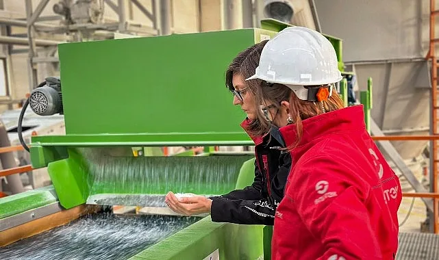 Karbon sertifikası, bir şirketin sera gazı emisyonlarını azaltarak ya da