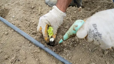 Beylikdüzü Belediyesi’nin, üreten ve kendine yetebilen bir kent olma vizyonuyla