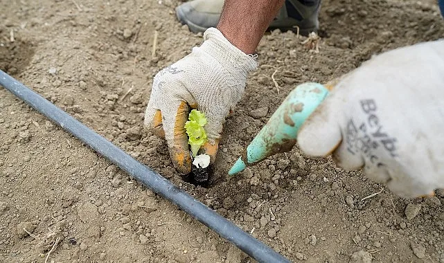 Beylikdüzü Belediyesi’nin, üreten ve kendine yetebilen bir kent olma vizyonuyla
