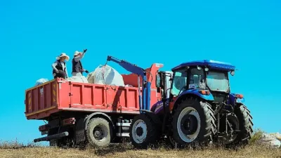 Kocaeli Büyükşehir Belediyesi, katma değeri yüksek tıbbi ve aromatik bitki