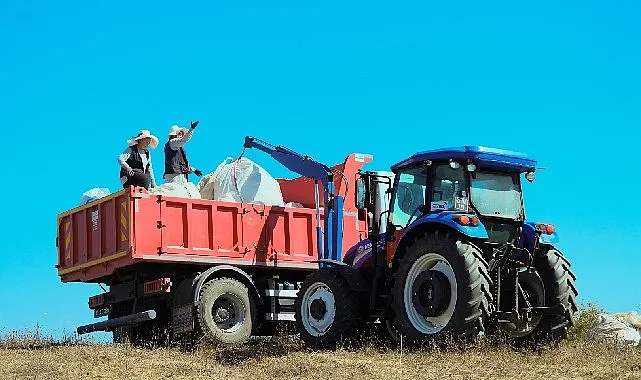 Kocaeli Büyükşehir Belediyesi, katma değeri yüksek tıbbi ve aromatik bitki