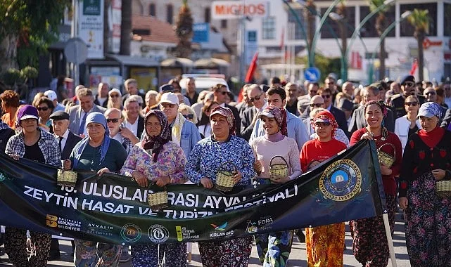 15 milyon zeytin ağacıyla Türkiye’nin en büyük zeytin üretim merkezlerinden