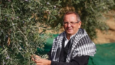 Kuzey Ege’de zeytin zamanı geldi; sektörün büyük firmaları ardı ardına