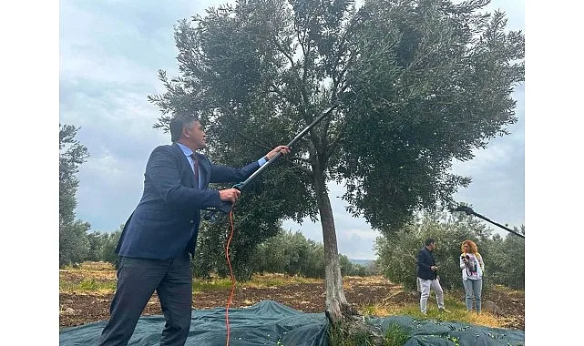 Aliağa’da zeytin ve zeytinyağı kültürünün yaşatılması, üreticilerin desteklenmesi ve bölge