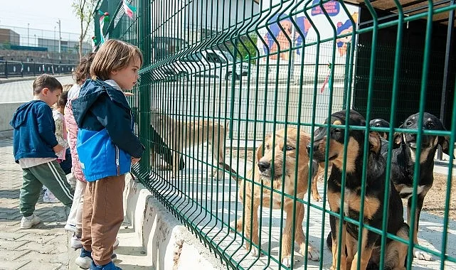 Karşıyaka Belediyesi’nin kısa süre önce hizmete açtığı Bakioğlu Can Dostlarımız