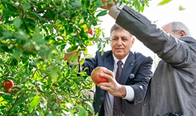 İzmir Büyükşehir Belediye Başkanı Dr. Cemil Tugay, Selçuklu çiftçilerle nar