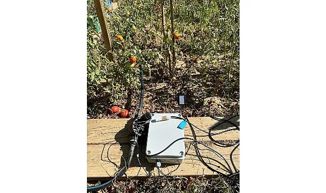 İstanbul Bilgi Üniversitesi Elektrik-Elektronik Mühendisliği Bölümü öğrencileri Umut Kalay ve