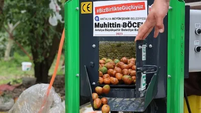Antalya Büyükşehir Belediyesi ceviz hasadının başlamasıyla birlikte talepte bulunan mahallere