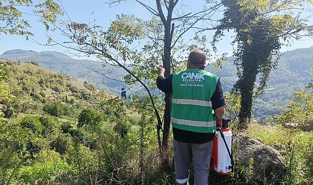 Canik Belediyesi, ilçede tarımsal alanlara ve tarımsal üretime zarar veren