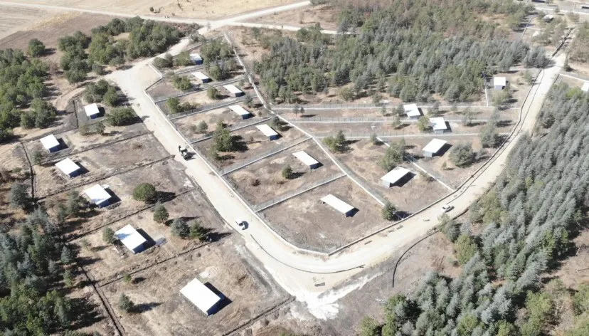 Edirne Belediyesi, sokak hayvanlarının korunması, sağlıklı yaşam koşullarına kavuşması ve