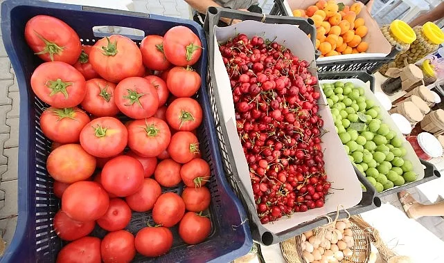 Efes Selçuk Belediyesi tarafından yerel kalkınmayı desteklemek, üreticileri teşvik etmek