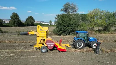 İnegöl’ün tescilli değeri Cerrah Kuru Fasulyesinde hasat başladı. Yaklaşık 800