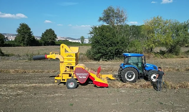 İnegöl’ün tescilli değeri Cerrah Kuru Fasulyesinde hasat başladı. Yaklaşık 800