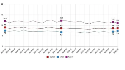 Mevsim etkisinden arındırılmış işsizlik oranı %8,6 seviyesinde gerçekleşti
