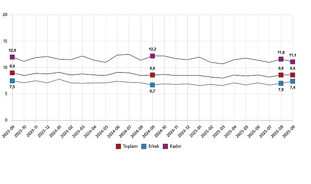 Mevsim etkisinden arındırılmış işsizlik oranı %8,6 seviyesinde gerçekleşti