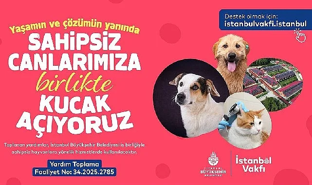 Sahipsiz hayvanların yaşam koşullarını iyileştirmek ve sahiplendirme süreçlerini güçlendirmek amacıyla