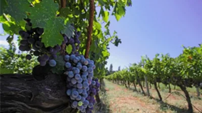 İzmir Büyükşehir Belediyesi, Avrupa Konseyi’nin kültür rotalarından biri olan Iter