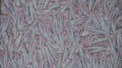 Tarım ve Oman Bakanı İbrahim Yumaklı geçtiğimiz hafta gerçekleştirdiği Çin