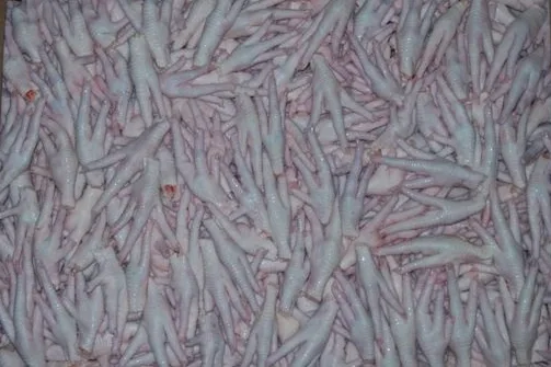 Tarım ve Oman Bakanı İbrahim Yumaklı geçtiğimiz hafta gerçekleştirdiği Çin