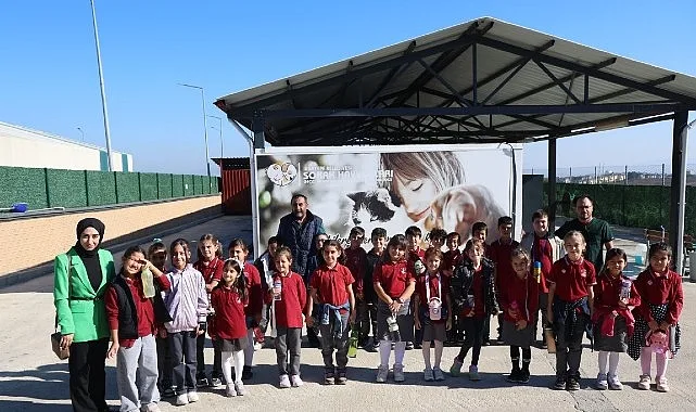 Kartepe Belediyesi Sokak Hayvanları Bakım ve Rehabilitasyon Merkezi, Dünya Hayvanları