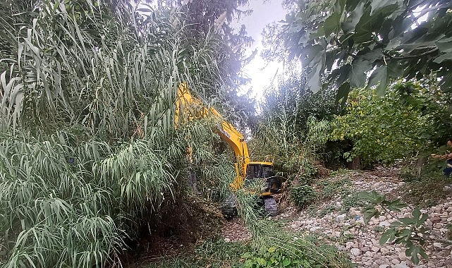 Kemer Belediyesi Park ve Bahçeler Müdürlüğü ile Fen İşleri Müdürlüğü