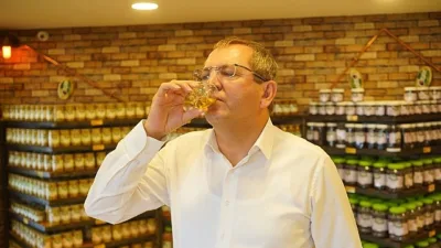 Kuzey Ege’de zeytin zamanı geldi; sektörün büyük firmaları ardı ardına