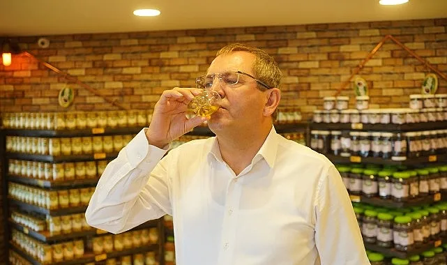 Kuzey Ege’de zeytin zamanı geldi; sektörün büyük firmaları ardı ardına