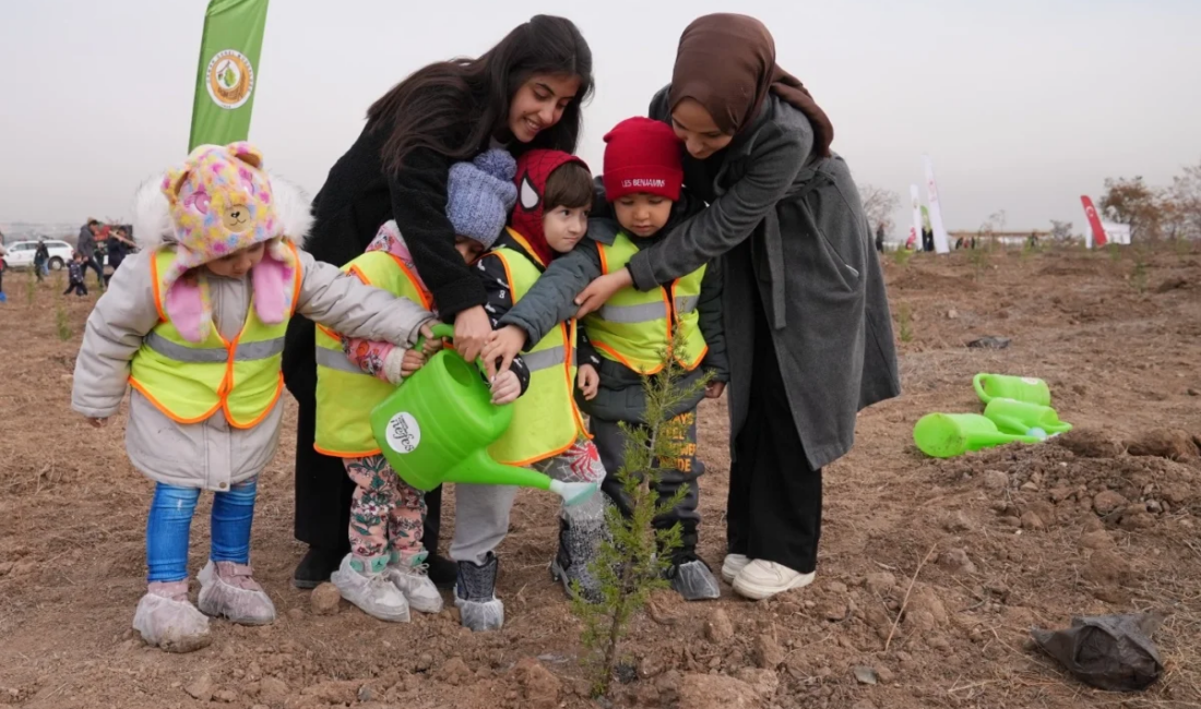 Orman Genel Müdürlüğü (OGM), 11 Kasım Milli Ağaçlandırma Günü hazırlıklarını
