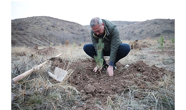 Sivas Belediyesi 11 Kasım Milli Ağaçlandırma Günü kapsamında anlamlı bir