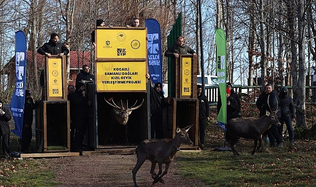 Kocaeli Büyükşehir Belediyesi, doğal yaşamı koruma ve geliştirme vizyonu doğrultusunda