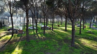 Altınova’da, yemyeşil çam ağaçlarının altında konumlandırılan ve aynı anda 150