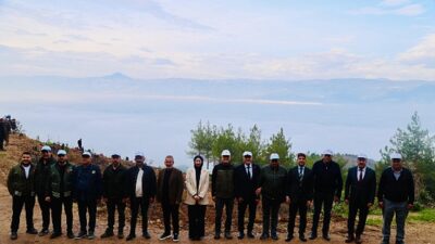 Geyve Orman İşletme Müdürlüğü tarafından 11 Kasım Milli Ağaçlandırma Günü