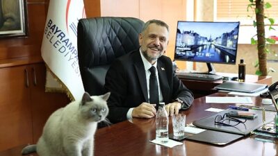 İstanbul Bayrampaşa Belediye Başkan Vekili İbrahim Akın, kedi sahiplenerek herkese