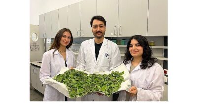 Dünya genelinde artan antibiyotik direnci, modern tıbbı zor durumda bırakırken