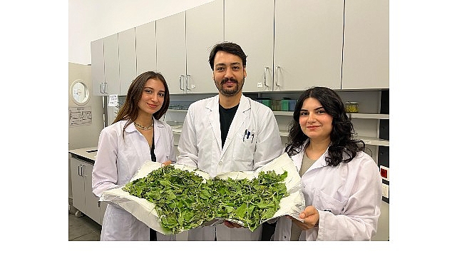 Dünya genelinde artan antibiyotik direnci, modern tıbbı zor durumda bırakırken