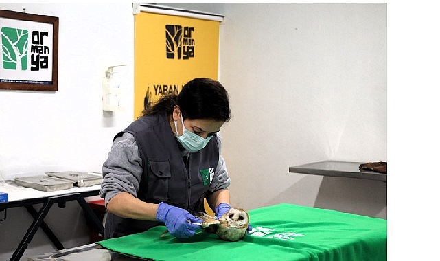 Kocaeli Büyükşehir Belediyesi’ne bağlı hizmet veren Ormanya, yalnızca doğaseverlerin uğrak