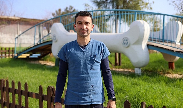 Buca Belediyesi, 11 ayda ilçedeki 3 bin 54 sokak kedisini