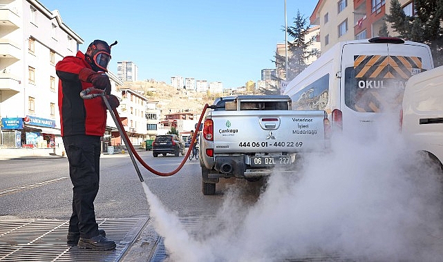 Çankaya Belediyesi, sivrisinek ve haşere ile mücadele çalışmalarını kış aylarında